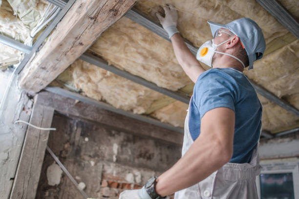 Best Affordable Insulation Services  in Port Hadlock Irondale, WA